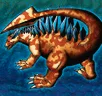Card icon