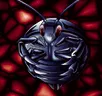 Card icon
