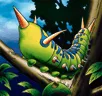 Card icon