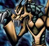 Card icon