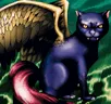 Card icon