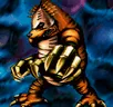 Card icon