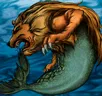 Card icon