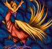 Card icon