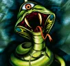 Card icon