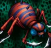 Card icon