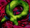 Card icon