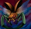 Card icon