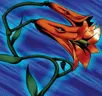 Card icon