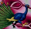 Card icon