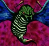Card icon