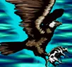 Card icon