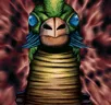 Card icon