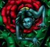 Card icon