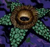 Card icon