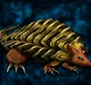 Card icon