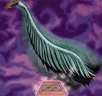 Card icon